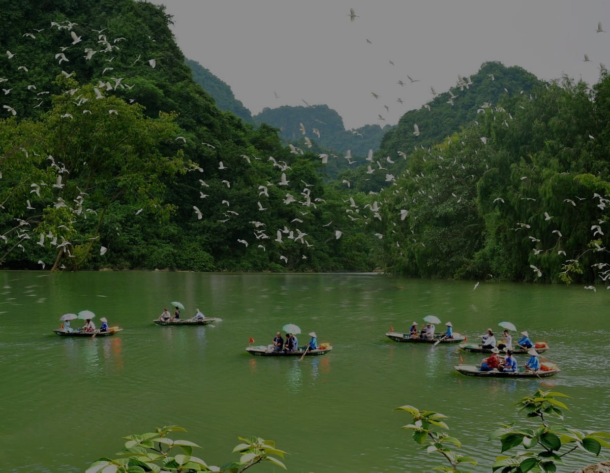 Thung Nham Bird Garden